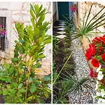 Veig Palace Apartman Split