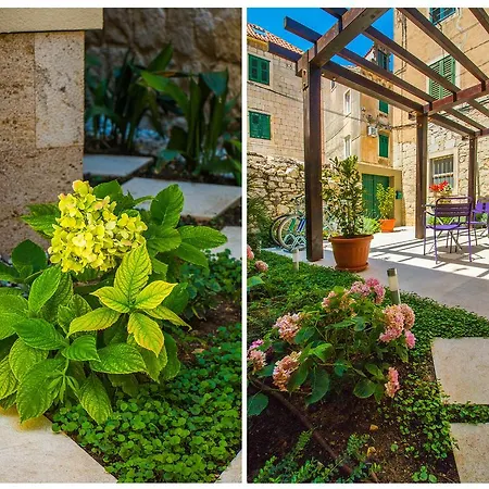 Veig Palace 斯普利特